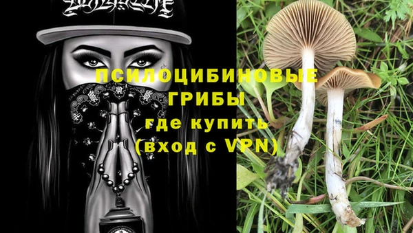 сатива Белоозёрский
