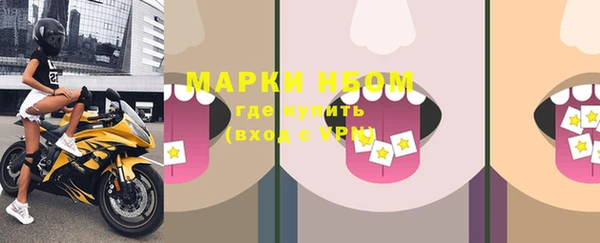 сатива Белоозёрский