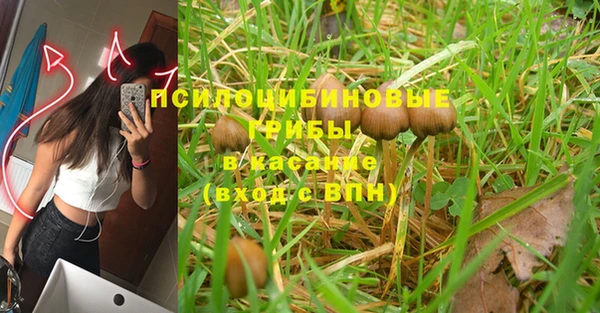мдма Белокуриха