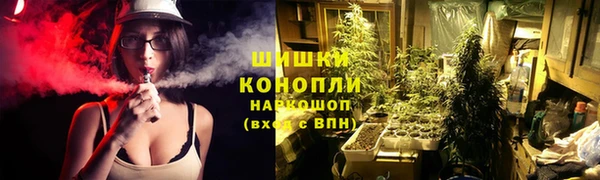 сатива Белоозёрский