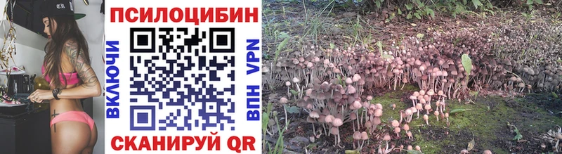 сколько стоит  блэк спрут зеркало  Галлюциногенные грибы Magic Shrooms  Ядрин 