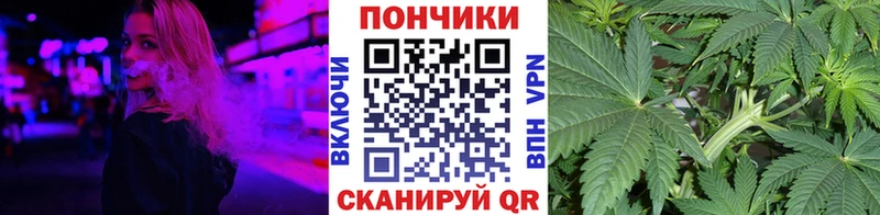 Бошки марихуана OG Kush  наркошоп  дарк нет состав  Ядрин 